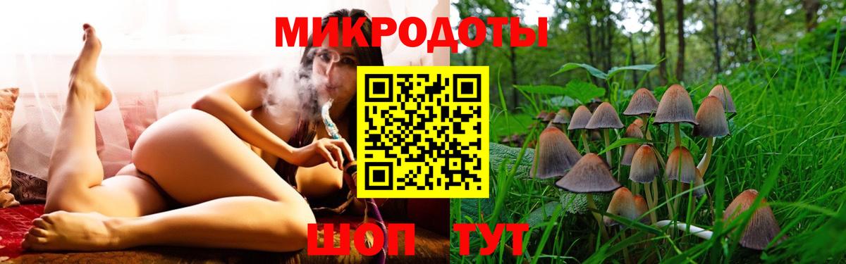 Галлюциногенные грибы прущие грибы Чернушка